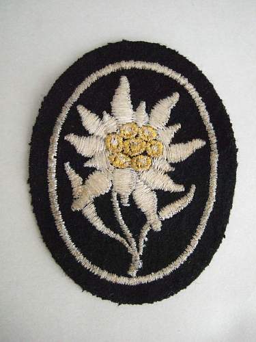SS Gebirgsjager Insignia for review