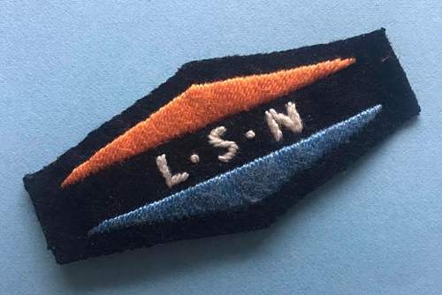 Opinions on this Landstorm Nederland badge