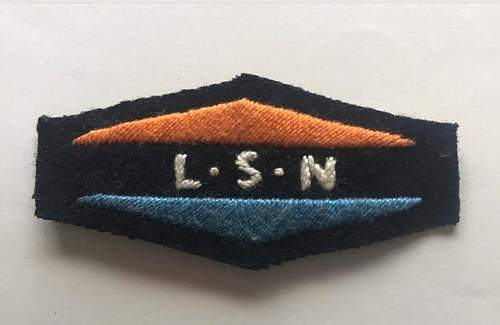 Opinions on this Landstorm Nederland badge