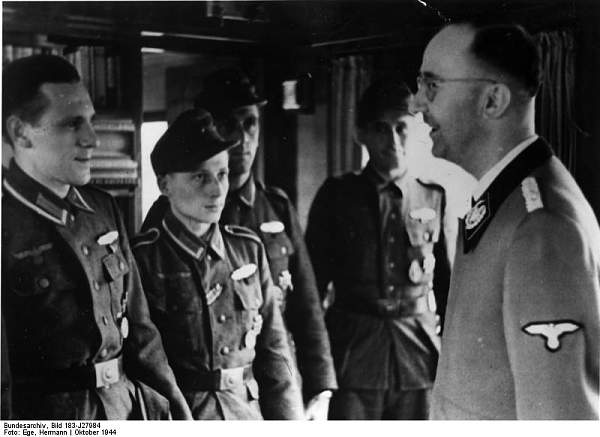 Himmler wearing a Litewka style jacket