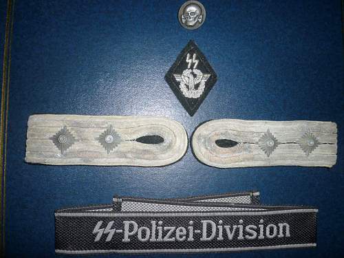 OPinions  on SS Polizei insignia please