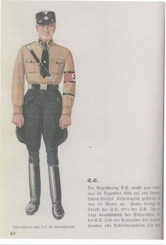 totenkopf regimental standard?