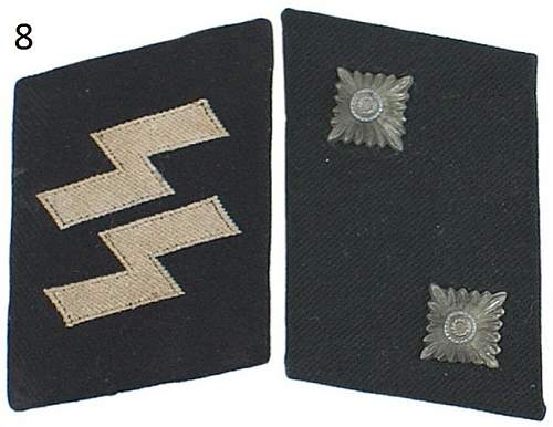 Several SS collar tabs