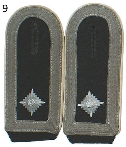 Several SS collar tabs