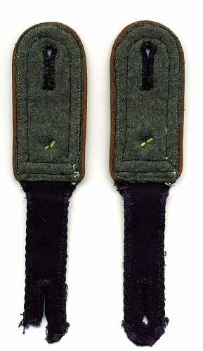 SS officers collar tabs