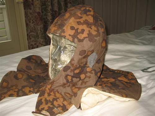 Thoughts on this SS camo hood