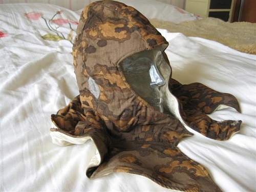 Thoughts on this SS camo hood