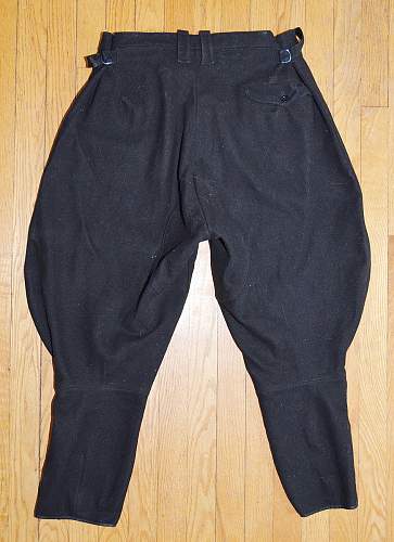 Need some opinions on these SS Breeches (?)...