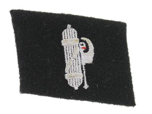 SS Collar Tab of the 29.Waffen Grenadier Division