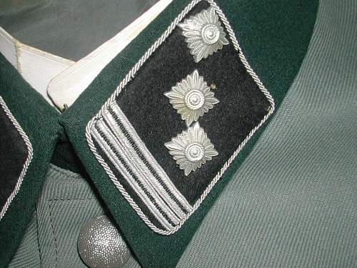 Waffen SS Tunic