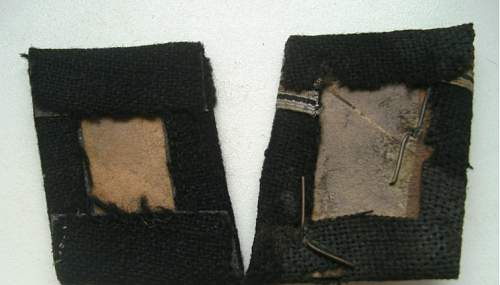 SS collar tabs