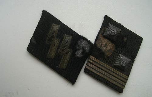 SS collar tabs