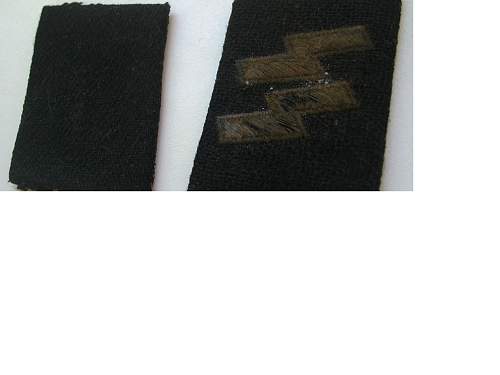 SS collar tabs