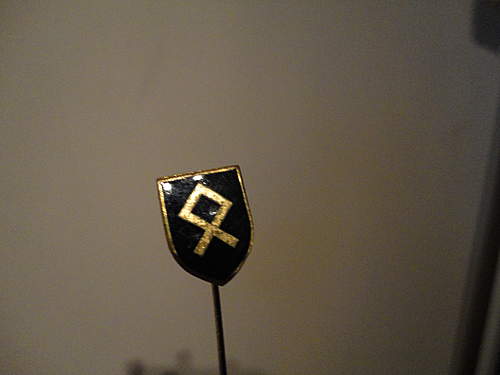 stickpin, would like to know from what SS division this is