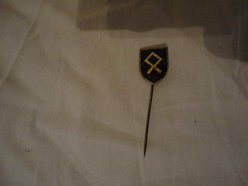 stickpin, would like to know from what SS division this is