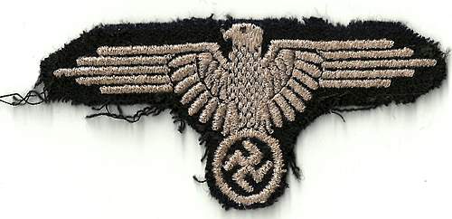 Embroidered sleeve eagle