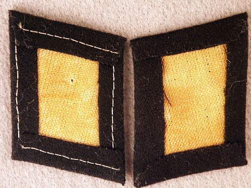 3 SS collar tabs.