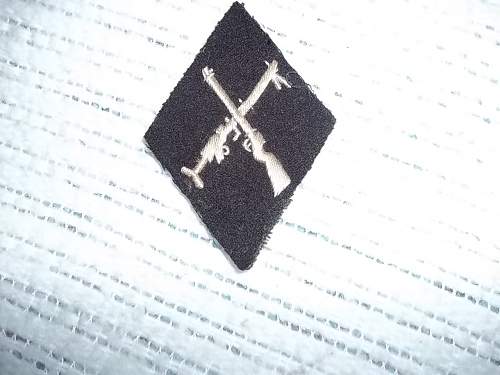 unidentified SS patch