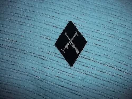 unidentified SS patch