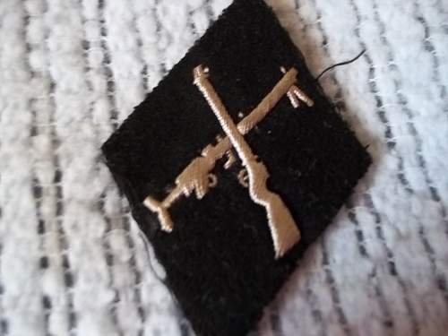 unidentified SS patch