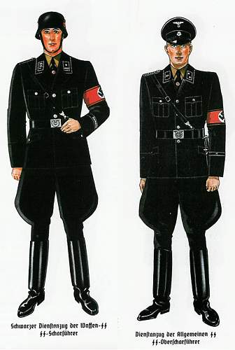 Black SS Uniforms - A better understanding. - Page 3