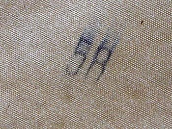 Allg / SS VT tunic questions: medical pockets, sleeve linings, stamps