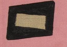 SS Collar Tabs - Various