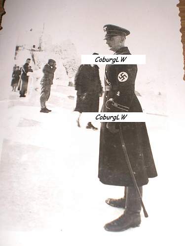 SS- RuSHA insignia in period pictures