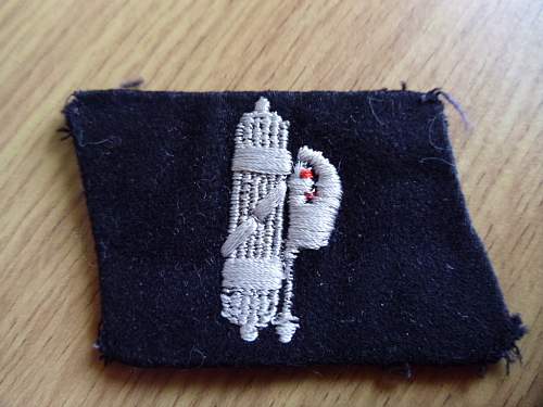 29th Waffen Grenadier Division SS Collar Tab in wear photo's