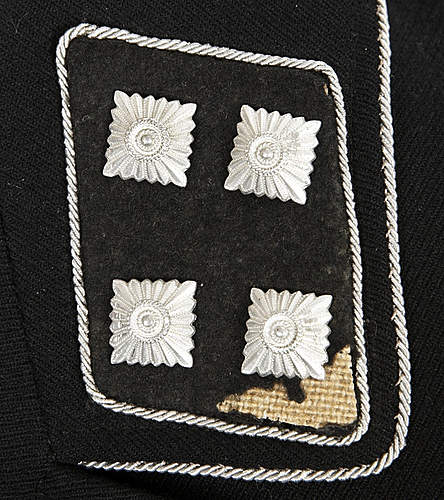 SD Raute and metal runic collar tab insignia: opinions please