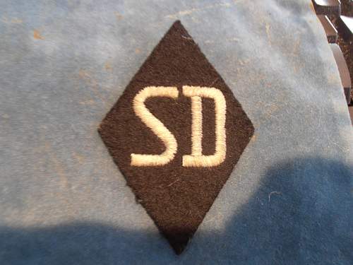 SD Raute and metal runic collar tab insignia: opinions please