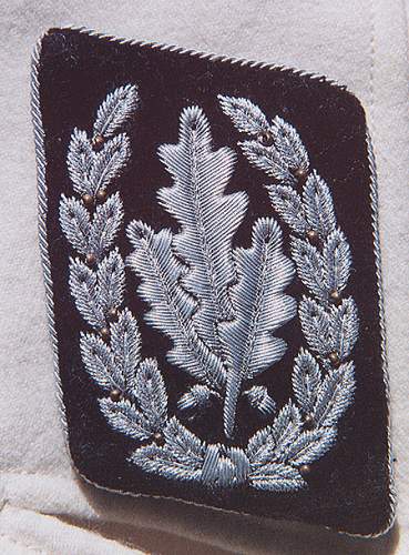 Kragenspiegel, Aermelabzeichen: Delich Treasures of Collar Patches and Foreign Legions.....