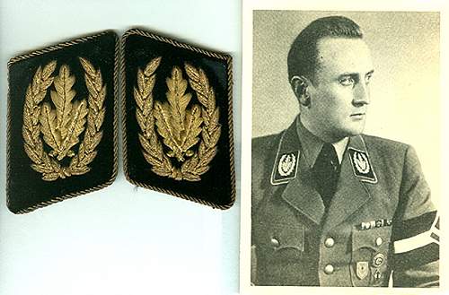 Kragenspiegel, Aermelabzeichen: Delich Treasures of Collar Patches and Foreign Legions.....