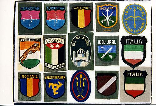 Kragenspiegel, Aermelabzeichen: Delich Treasures of Collar Patches and Foreign Legions.....