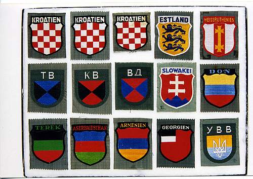 Kragenspiegel, Aermelabzeichen: Delich Treasures of Collar Patches and Foreign Legions.....