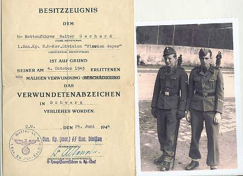 Delich Treasures.  Waffen SS als  die Armee Europas.