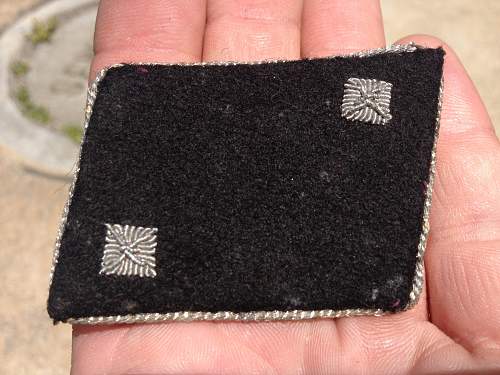 SS Officers Runic Collar Tabs