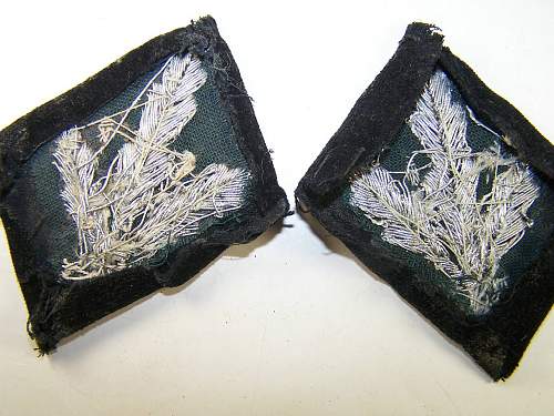 SS Gruppenfuehrer collar tabs