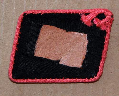 SS Collar tab with pink piping