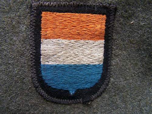 SS M42 tunic Nederland