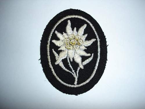 Waffen-SS Patch?