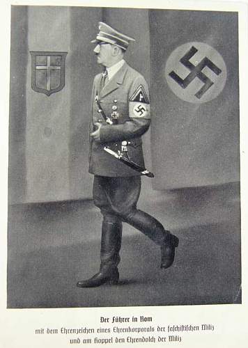 Insignia on Hitler's Coat