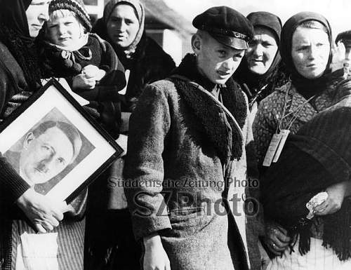 SS- RuSHA insignia in period pictures