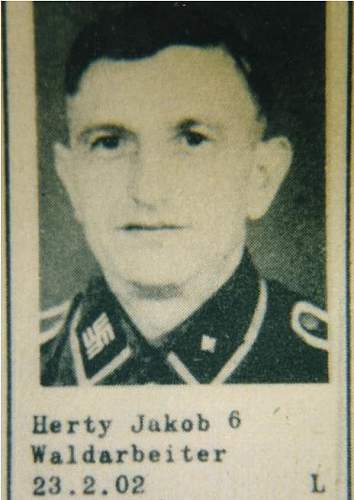 Latvian SS Double Swastika Collar Tab - Original/Fake?