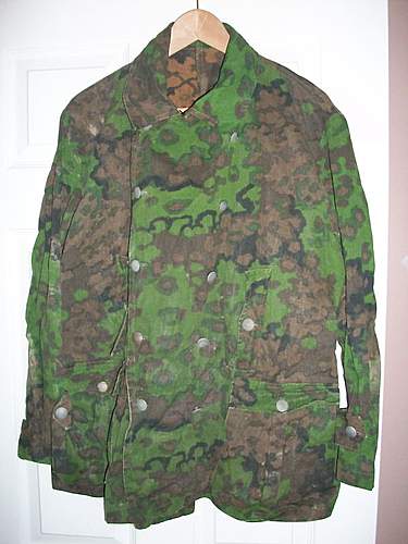 Which Type WSS Camouflage?