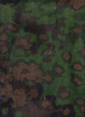 Which Type WSS Camouflage?