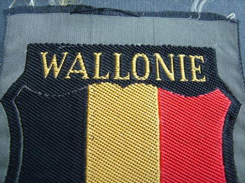 Belgian Wallonien SS Freiwillig Shield - REAL or FAKE?