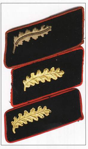 Very Early Standartenfuhrer Collar Tabs