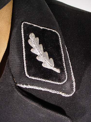 Very Early Standartenfuhrer Collar Tabs