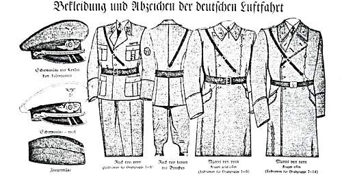 Very Early Standartenfuhrer Collar Tabs